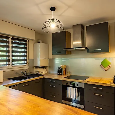 Apartment 100 Geneve Joli T2 Avec Place De Parking Privee